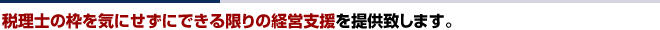 税理士の枠を気にせずにできる限りの経営支援を提供致します|東京都で税理士をお探しなら